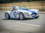 Angelina's 2010 Replica Shelby  Cobra  SC427