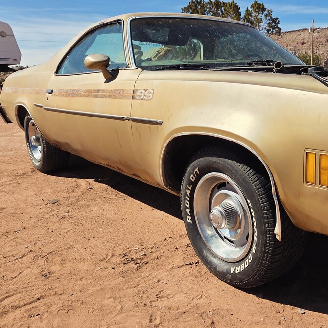 1977 Chevrolet Chevelle 8 Cylinder Cooper Cobra Radial GT 255/60R15 (8992)