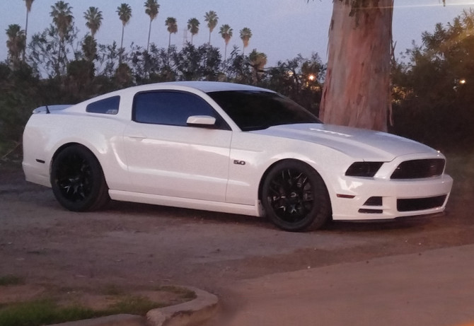 2013 Ford Mustang Coupe Performance Package Nitto NT05R Drag Radial 305/35R19 (2059)