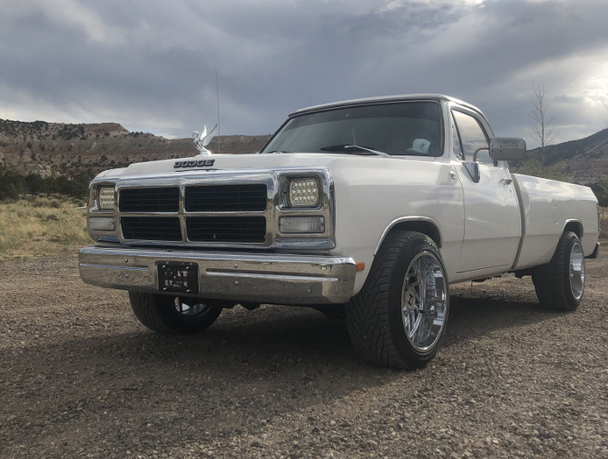 1989 Dodge D150 Pick-up Toyo Proxes S/T 295/45R20 (5849)