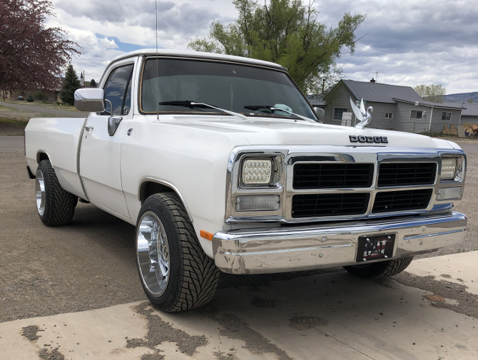 1989 Dodge D150 Pick-up Toyo Proxes S/T 295/45R20 (5853)