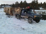 Darin Firestone Winterforce LT