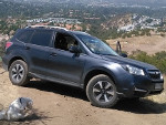 Forester BFGoodrich Long Trail T/A Tour