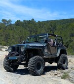MartiniGreg Maxxis Trepador