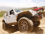 WhiteWilly Atturo Trail Blade MTS