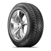  Nexen Winguard Ice Plus 195/60R15